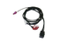 Джгут дротів